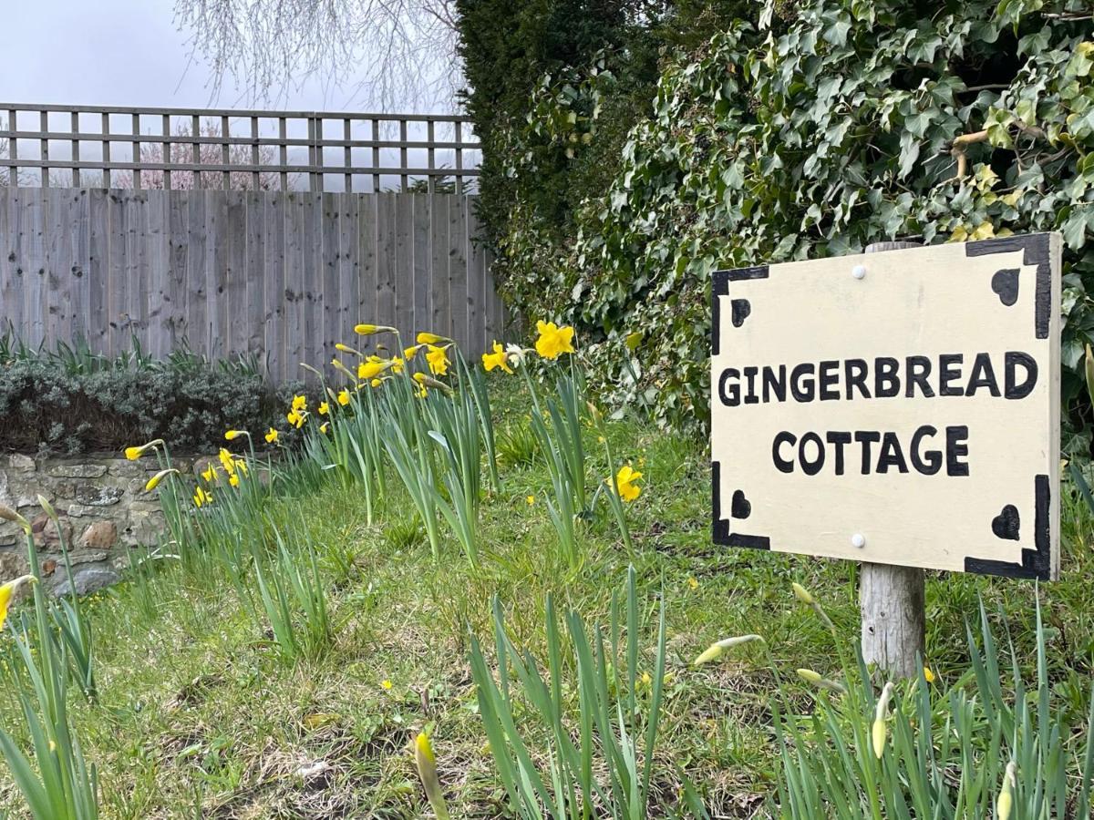 Gingerbread Cottage Chideock 外观 照片